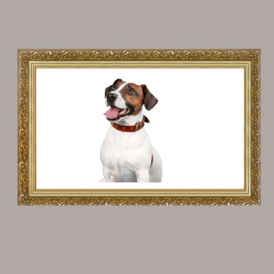 Watercolor Pet Portrait