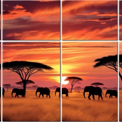 Sunset Savanna